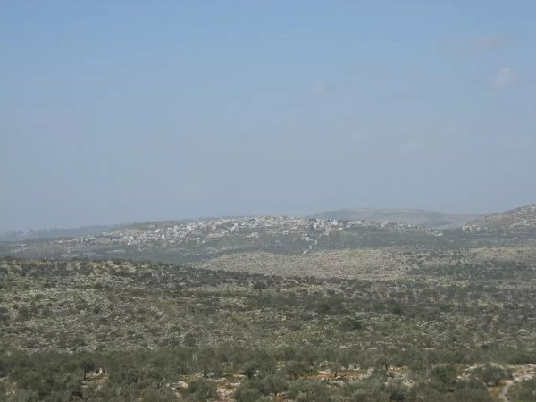  | موسوعة القرى الفلسطينية