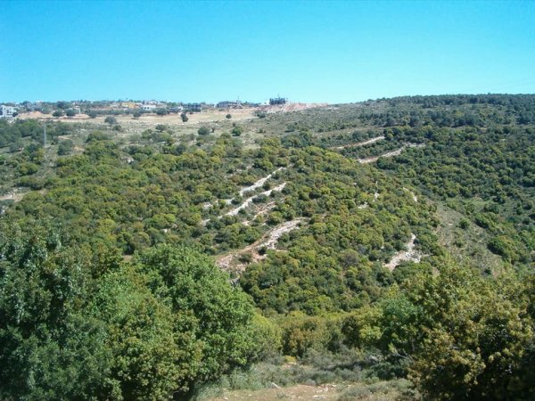 قرية الكمانة / عكا