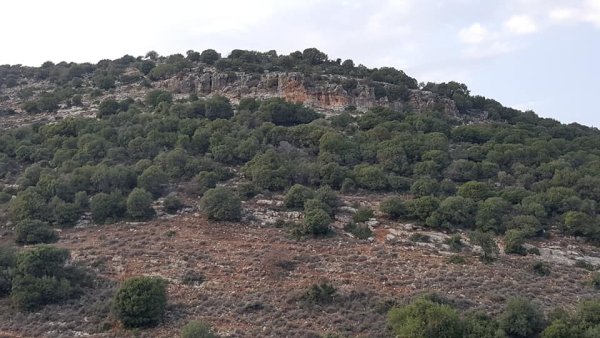 قرية الكمانة / عكا