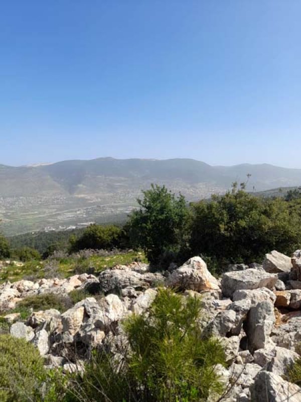 قرية الكمانة / عكا