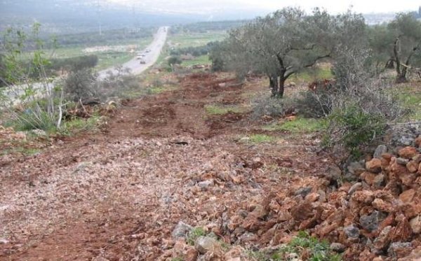 أراضي القرية/قرية مردة