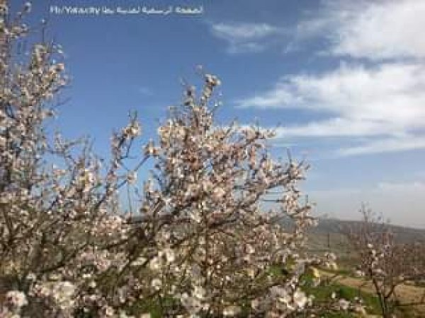 قرية البويب / يطا الخليل