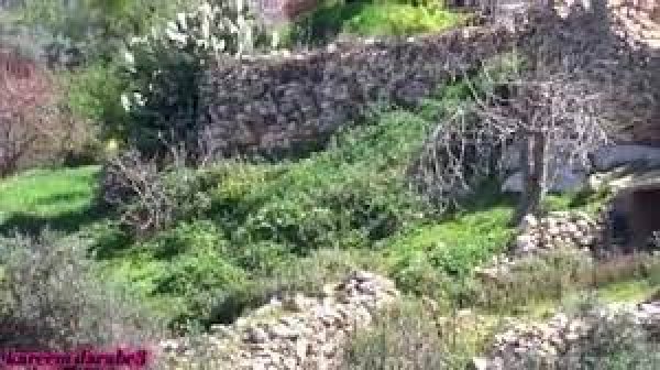 قرية امريش / الخليل