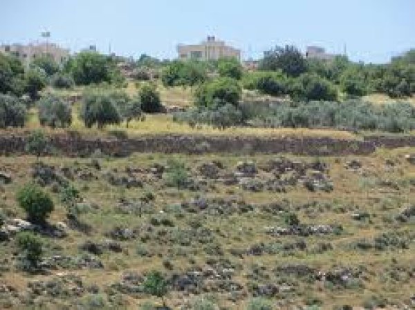 قرية امريش / الخليل