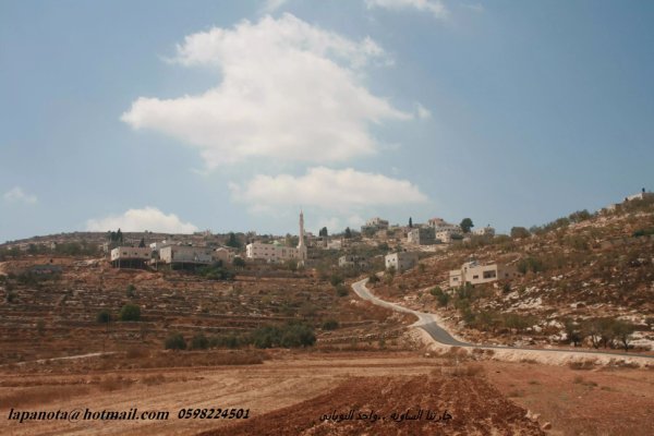 أراضي القرية/قرية الساوية