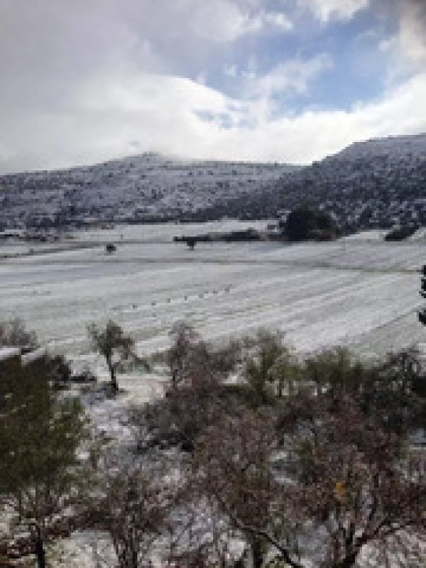 أراضي القرية والثلوج/قرية الساوية