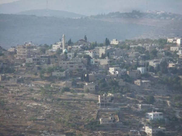 القرية/قرية الساوية