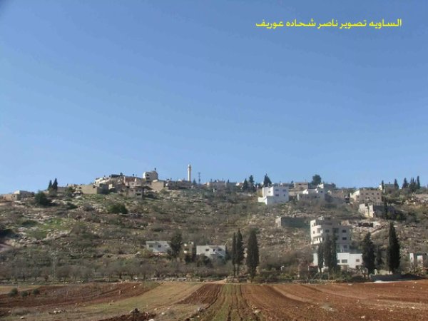 أراضي القرية/قرية الساوية