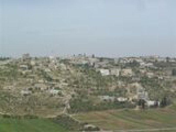 أراضي القرية/قرية الساوية