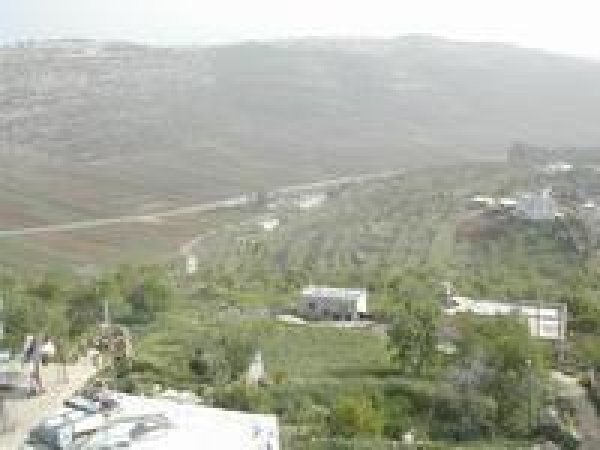 أراضي القرية/قرية الساوية