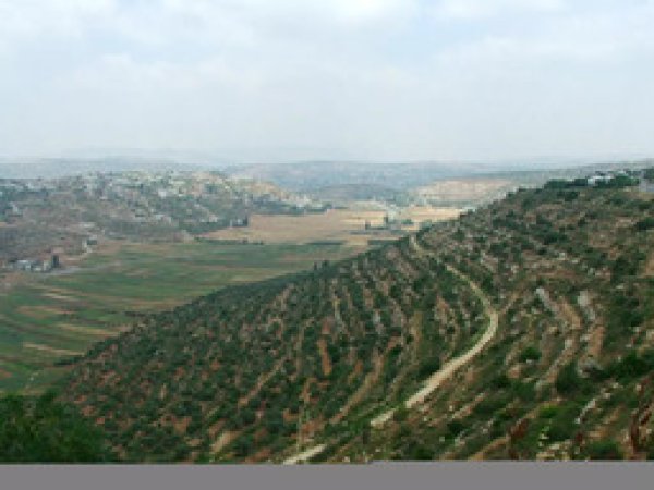 الأراضي المحيطة بالقرية/قرية الساوية