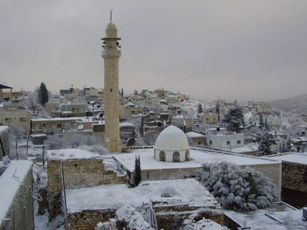 مسجد القرية/قرية الساوية