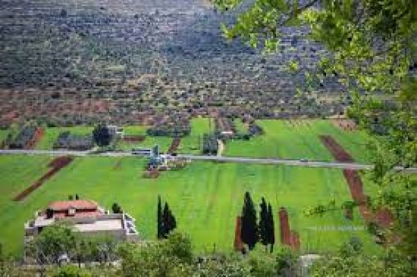 أراضي القرية/قرية الساوية