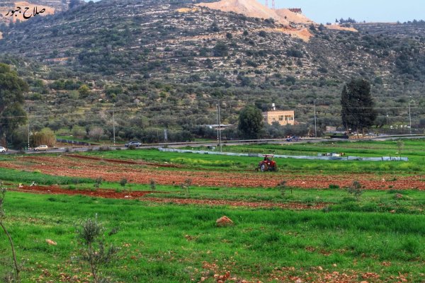 صور سهل قرية الساوية تصوير صلاح جبور 2025