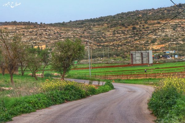 صور سهل قرية الساوية تصوير صلاح جبور 2025