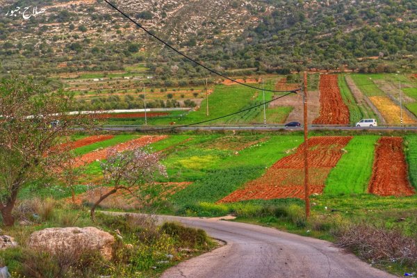 صور سهل قرية الساوية تصوير صلاح جبور 2025