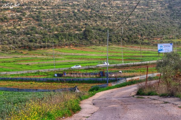 صور سهل قرية الساوية تصوير صلاح جبور 2025