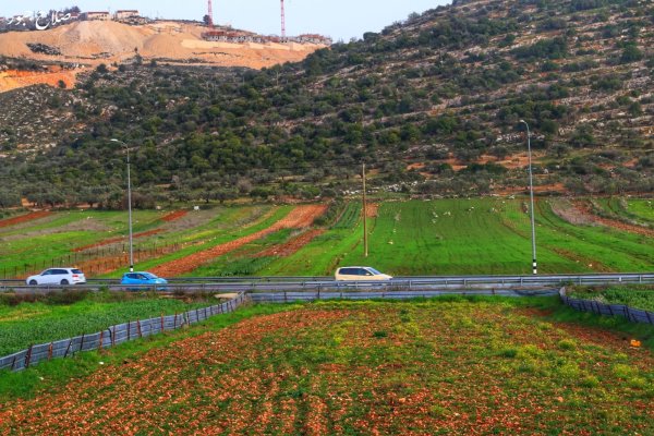 صور سهل قرية الساوية تصوير صلاح جبور 2025