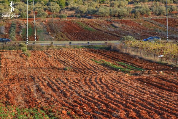 صور حديثة من قرية الساوية