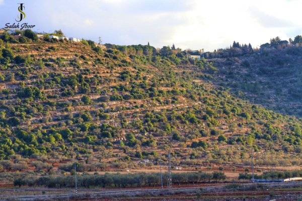 صور حديثة من قرية الساوية