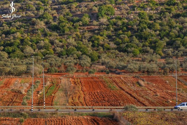صور حديثة من قرية الساوية