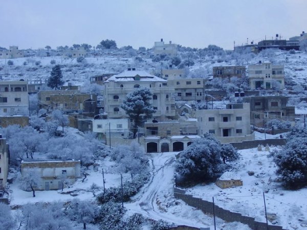 القرية/قرية الساوية