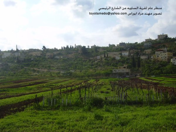 مزارع القرية/قرية الساوية