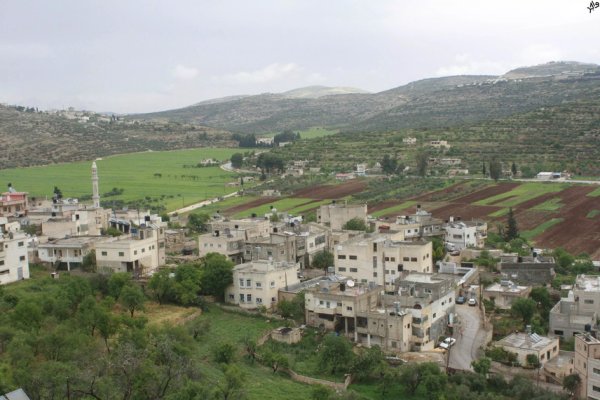 أراضي القرية/قرية الساوية