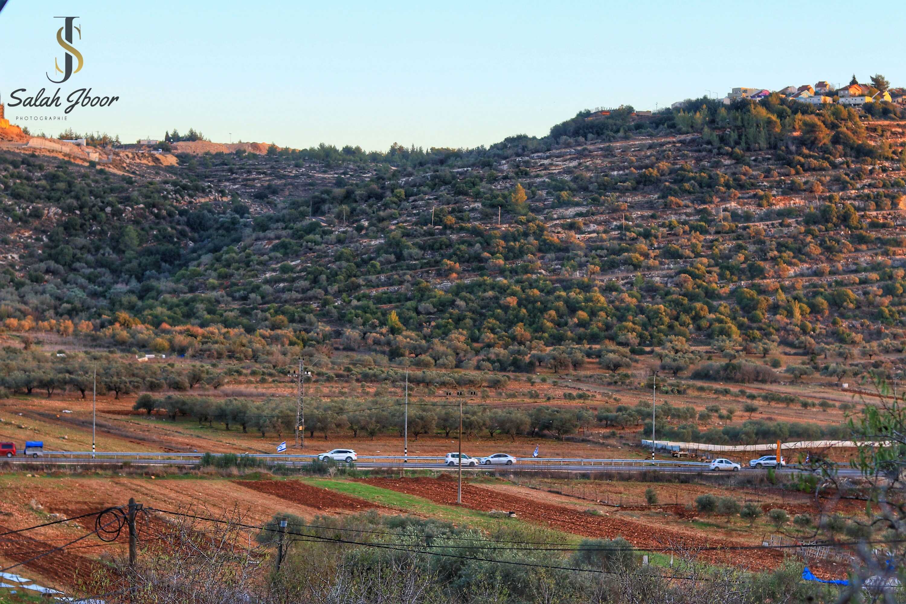 صور سهل قرية الساوية تصوير صلاح جبور 2025