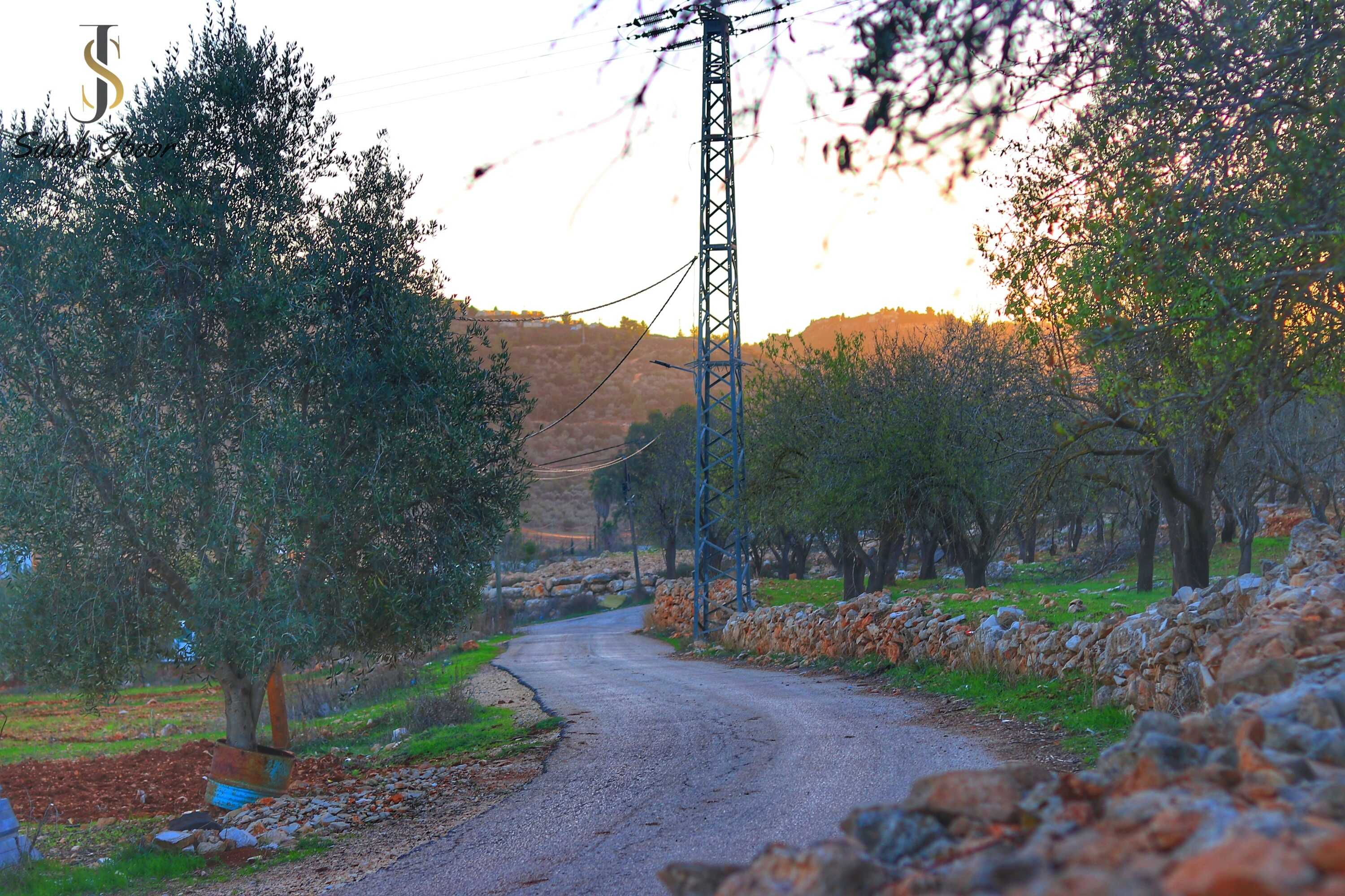 صور سهل قرية الساوية تصوير صلاح جبور 2025