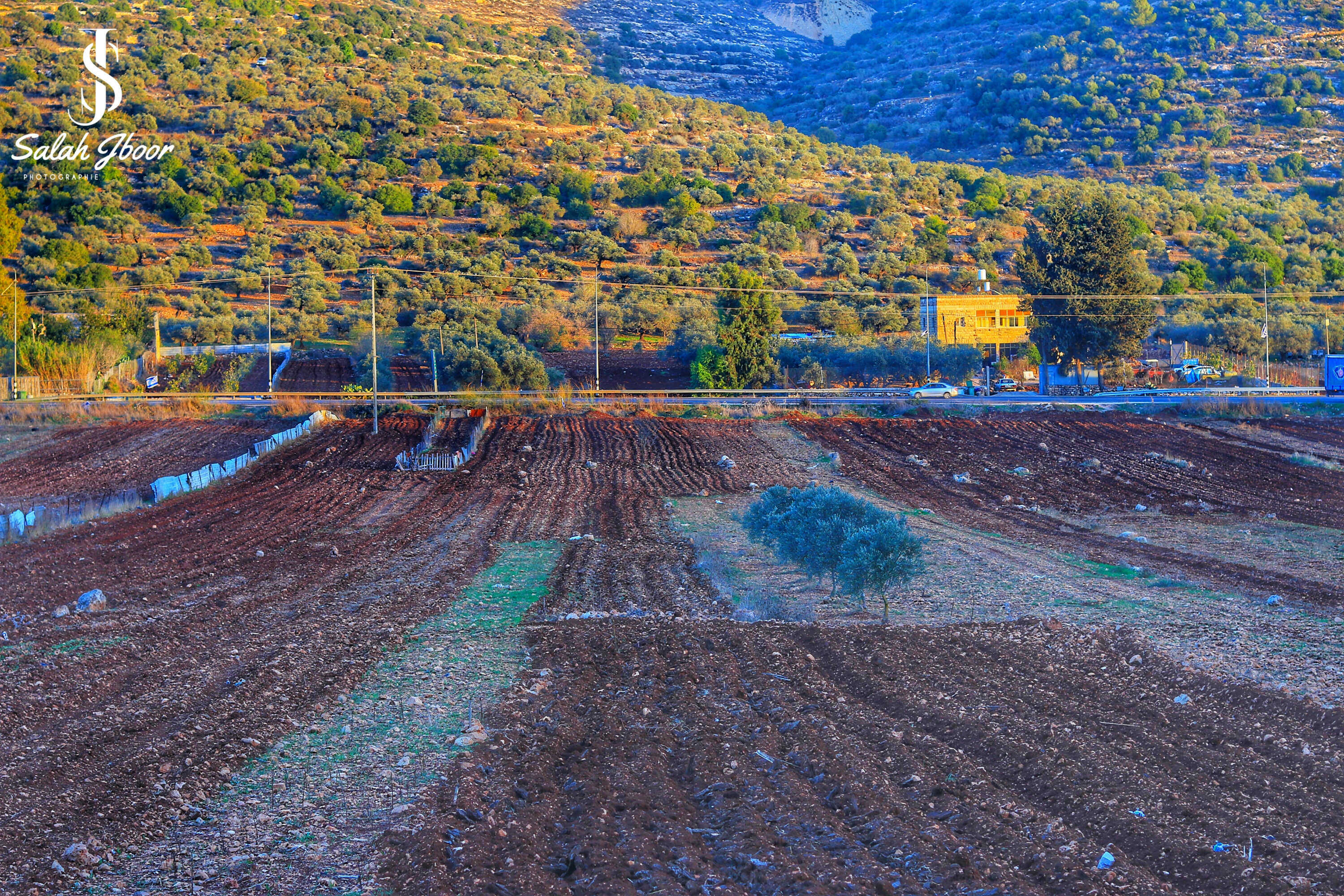 صور سهل قرية الساوية تصوير صلاح جبور 2025