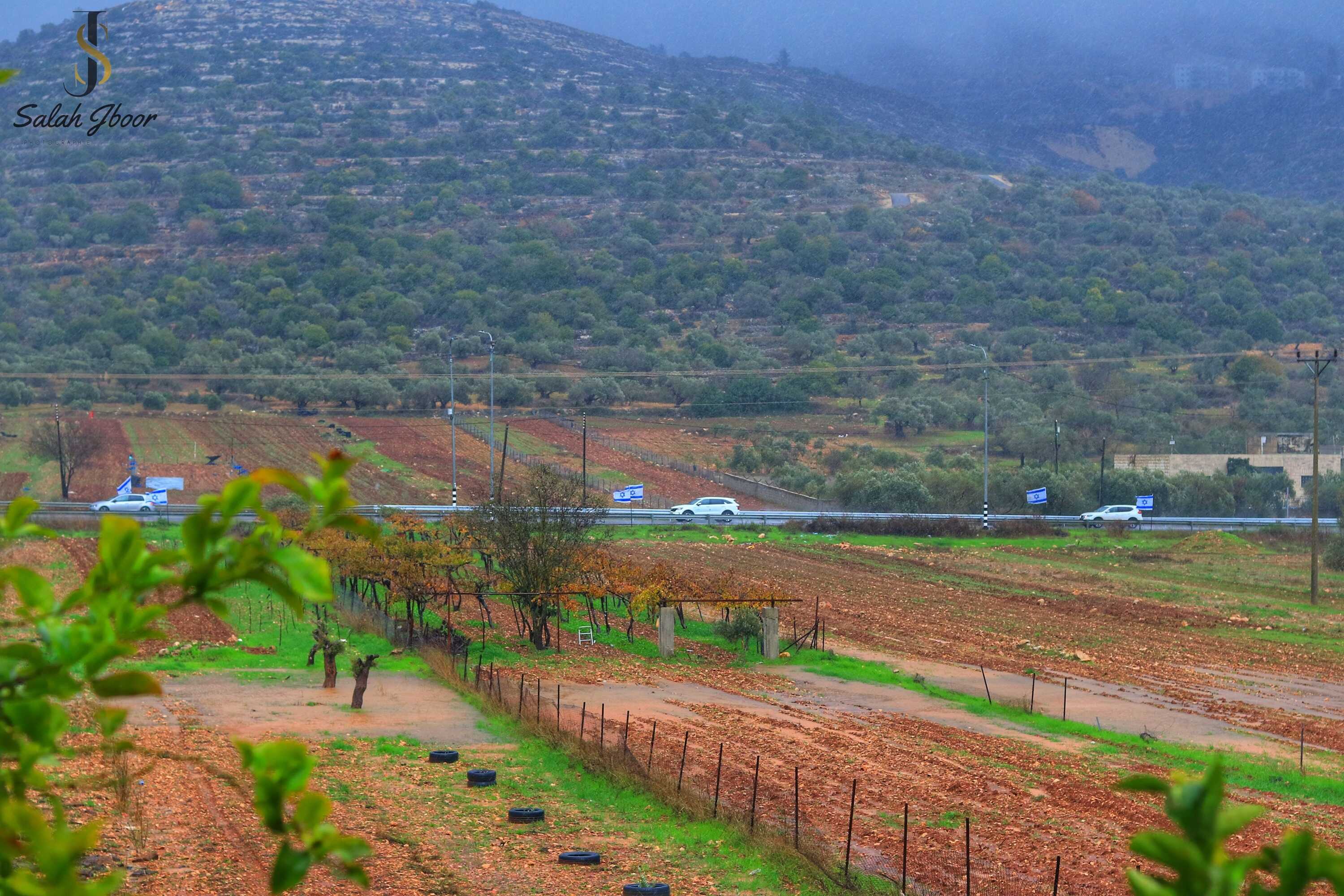 صور سهل قرية الساوية تصوير صلاح جبور 2025
