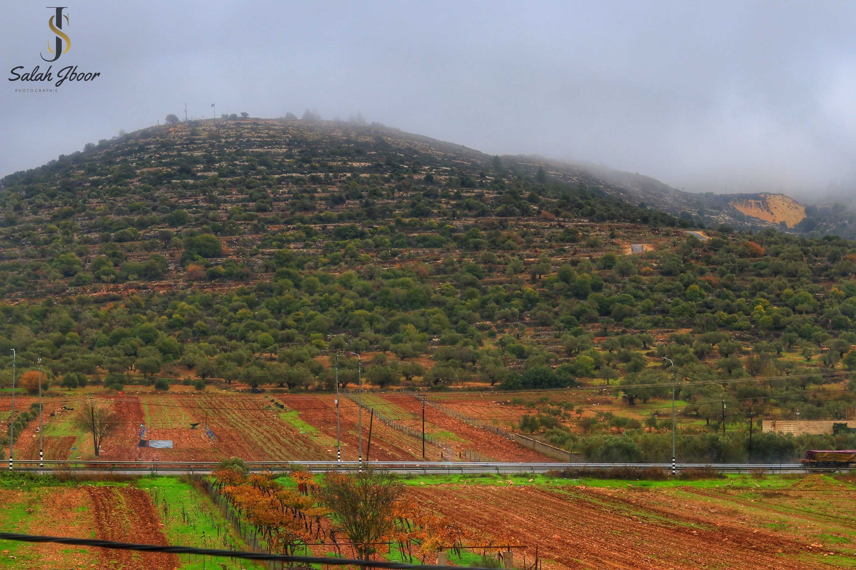 صور سهل قرية الساوية تصوير صلاح جبور 2025
