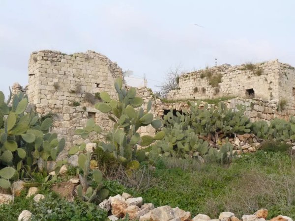 البيوت القديمة في قرية بدرس