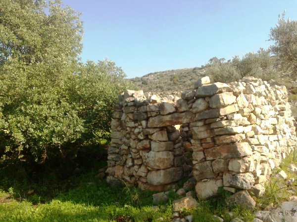 سقيفة في اراضي قرية بدرس