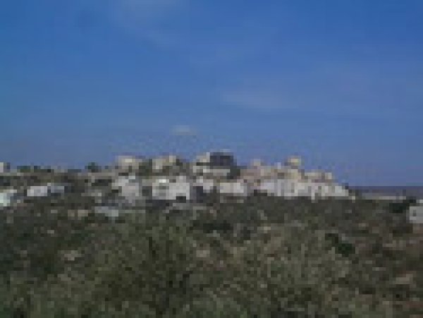 القرية/قرية قيرة