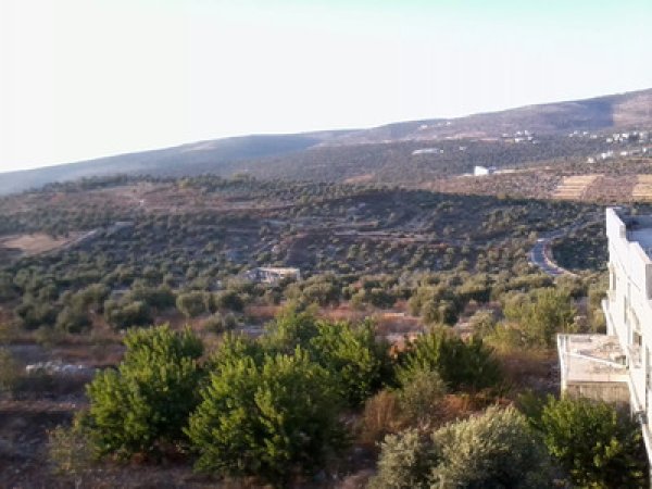 أراضي القرية/قرية قيرة