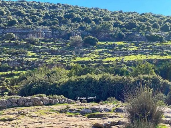  | موسوعة القرى الفلسطينية