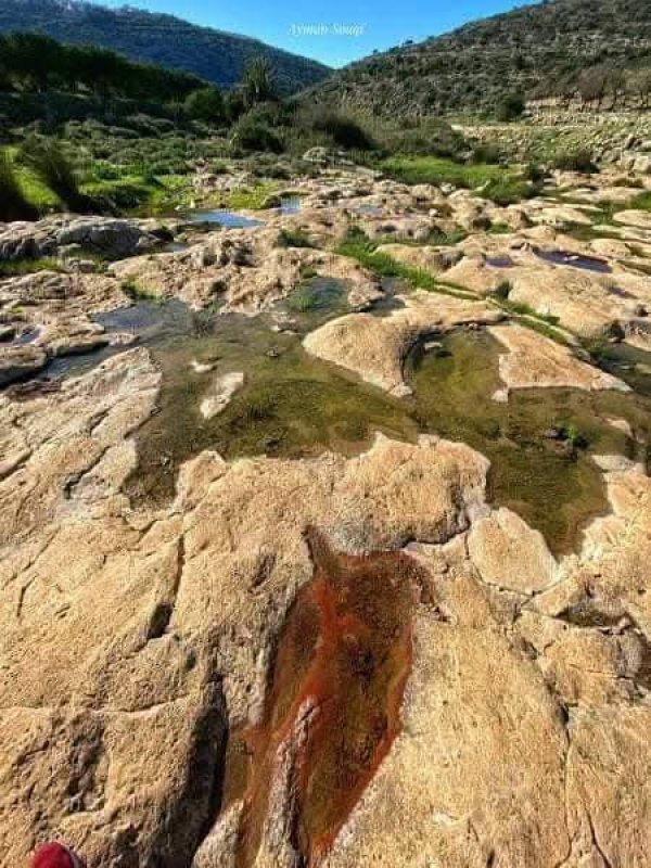  | موسوعة القرى الفلسطينية