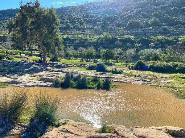  | موسوعة القرى الفلسطينية