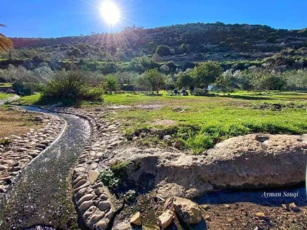  | موسوعة القرى الفلسطينية