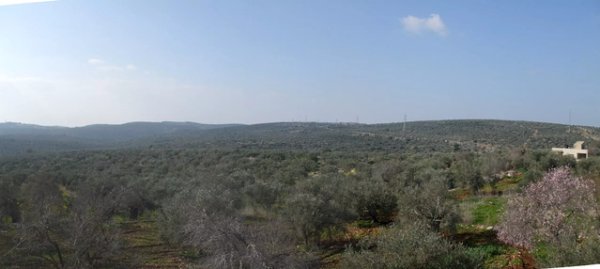  | موسوعة القرى الفلسطينية