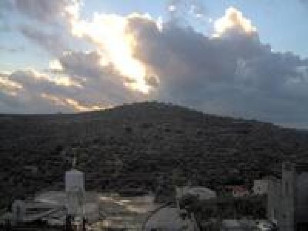 أراضي القرية/قرية كفل حارس