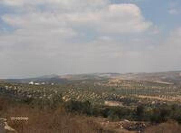 أراضي القرية/قرية كفل حارس