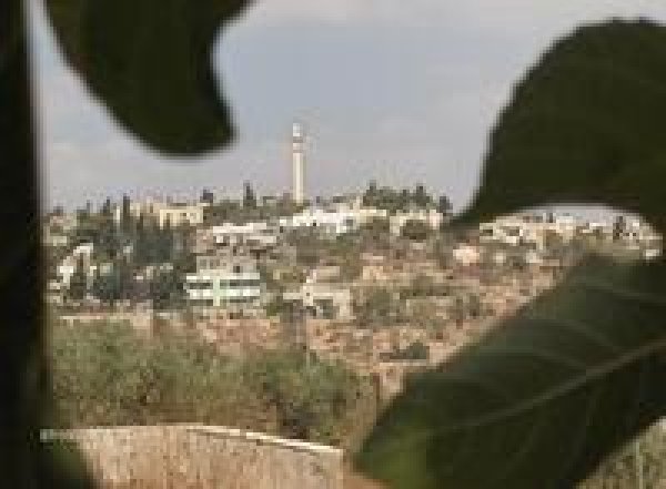 أراضي القرية/قرية كفل حارس