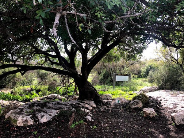 خربة المنوات / عكا