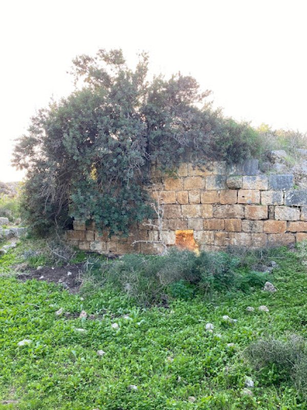 خربة المنوات / عكا