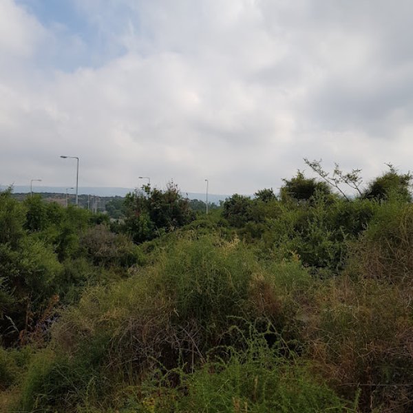 خربة المنوات / عكا