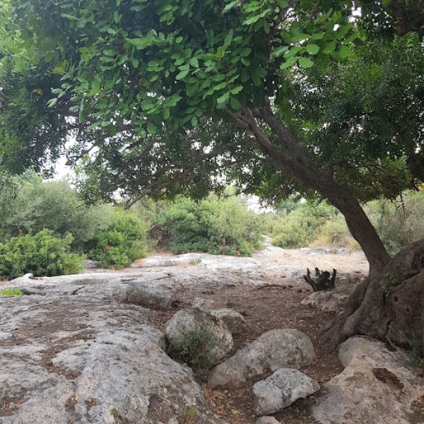 خربة المنوات / عكا