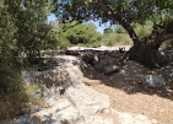 خربة المنوات / عكا